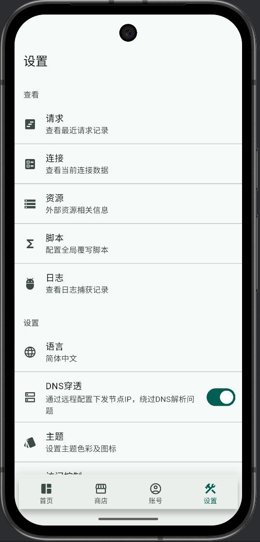 设置页中开启 DNS 穿透
