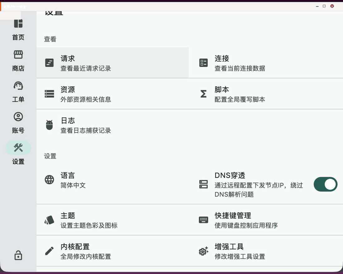 设置页中开启 DNS 穿透