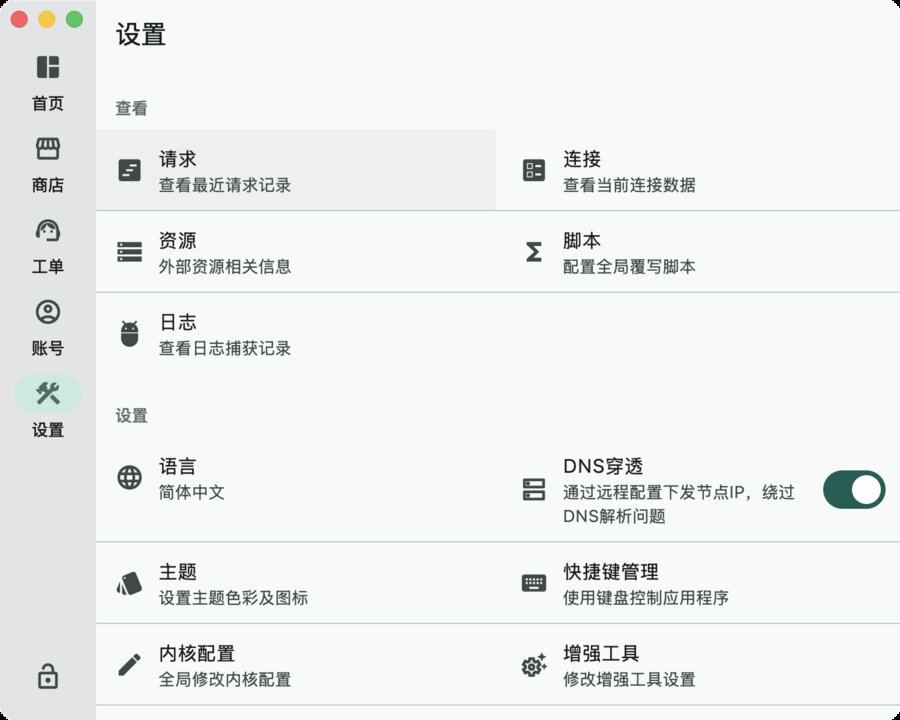 设置页中开启 DNS 穿透
