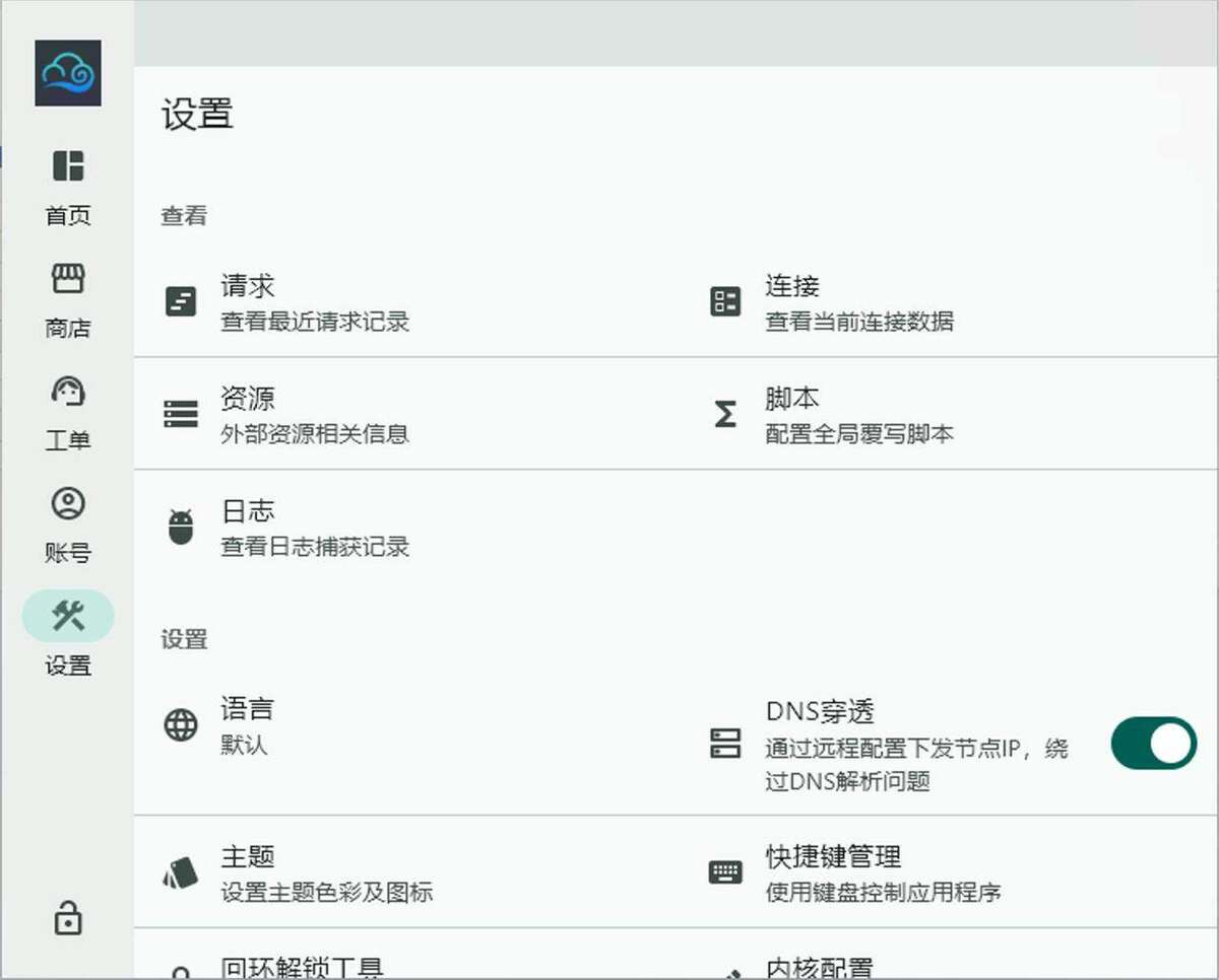 设置页中开启 DNS 穿透